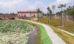 Đường 25C đã thông, nhiều vị trí đẹp gần TTTM, gần công viên. Đường 15m, 24m, 32m