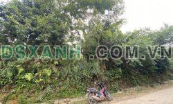 Mảnh đất Y Tý – Sapa 2 đón đầu du lịch,có 1 không 2 tại Choản Thèn, Y Tý-Sapa2