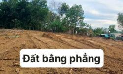 Bán đất Ngọc Định 300m2 full thổ cư