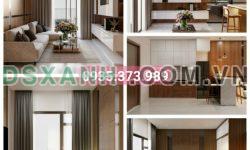 ⭐ 399 triệu SỞ HỮU Căn hộ cao cấp 29 tầng C-River View Phường Chánh Nghĩa – Tp. Thủ Dầu Một