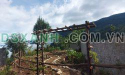 Cần bán cắt lỗ sâu đất Phìn Hồ, Y Tý, Sapa 2