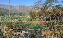 Đất nền Y Tý (Sapa 2) giá cực tốt đón sóng sân bay Sapa