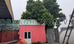 Cho thuê kho xưởng, diện tích 1000m2 tại Song Phương – Hoài Đức – Hà Nội