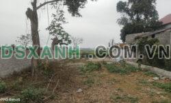 Bán lô đất 247,7m2, 131m ONT. Giáp khu công nghiệp Nhuận Trạch, Lương Sơn, Hoà Bình.