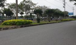 Đất thổ cư huyện Thủ Thừa – Long An, giá 6 tỷ 500 triệu