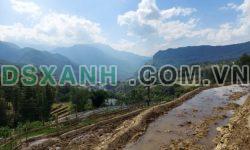 ĐẤT NỀN Y TÝ( SA PA 2) ĐẦU TƯ LÀ THẮNG LỚN , GIÁ SIÊU RẺ