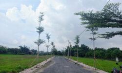 Bán đất chính chủ 110m2 full thổ cư tại huyện Đức Hòa, Long An. Liên hệ: 0399579490