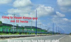 Chỉ 6.6 Triệu/M2. Mặt tiền đường 16M Song Hành Dãy Nhà Phố, Gần Trường Cao Đẳng, Ngay Sát Kcn 2067ha