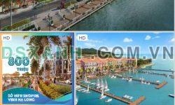 Chính Chủ Cần Bán Căn Hộ Aqua City Hạ Long Thuộc Bán Đảo 1 – Bim Group – Hoàng Quốc Việt – TP Hạ Long.