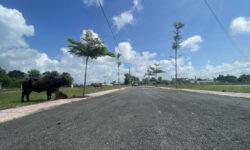 Bán ĐẤT THỔ CƯ 100% tại Đức Hòa, Long An. Vị trí đẹp, giá rẻ