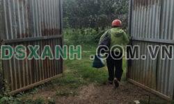 BÁN ĐẤT CHIA GIA TÀI: THỬA ĐẤT GIÁP SÔNG 4000M2, TÂN UYÊN, BÌNH DƯƠNG, CHỈ 5 TR/M2, THƯƠNG LƯỢNG.