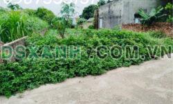 360m2 khu đất Minh Phú, Sóc Sơn con đường thông ,trục chính rộng 4m.Chỉ 6,x tr/m2