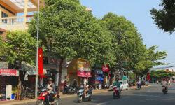 Bán nhà 1T1L đường Phạm Hồng Thái trung tâm thành phố 2,8 tỷ