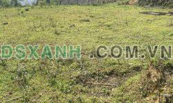 Mảnh đất full thổ cư duy nhất tại trung tâm Tả Phìn, Sapa