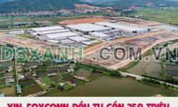 Bán Đất 111m2 Đường Trần Danh Tuyên Trung Tâm Thị Xã Quảng yên  giá NĐT. Lh:0909711000.
