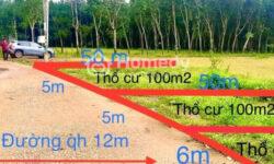 Cần bán đất nền Tân Lợi, Đồng Phú, Bình Phước