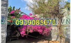 ⭐Bán lô đất thổ cư 100% 148,5m2 Quốc Lộ 13, P.Hiêp Bình Phước, TP.Thủ Đức giá tốt 67tr/m2; 0939085678