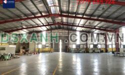 Cho thuê nhà xưởng 9000m2 tại Hải Dương