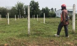 Chính Chủ Cần Bán Đất Giá Rẻ Vị Trí Đẹp Tại Long An.