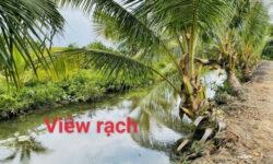 Bán 4000m2 đất vườn xã Thạnh Lợi, Bến Lức, chỉ 590tr/1000m2. Lh:0868114156