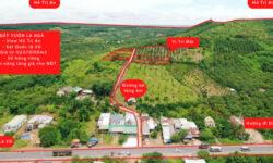 Đầu tư đón sóng đất vườn La Ngà, “một ăn cả hai ngã về hai nhà” view Hồ Trị An giá từ 1.2tỷ/1000m2