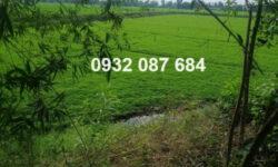 ⭐Đất đẹp – Giá tốt – Cần bán lô đất vị trí đắc địa tại Mộc Hoá, Long An; 2,4 tỷ; 0932087684