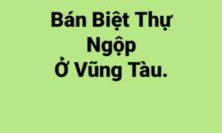 Ngộp Biệt Thự Chưa Qua Đầu Tư, Giá Rẻ Chỉ 120 Triệu/1m2, Xem Ngay.