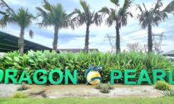 Dragon Pearl mở bán phân khu đẹp nhất. Giá 1tỷ9/nền. Chiết khấu 7%