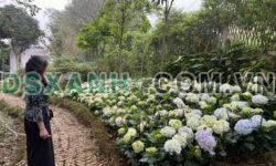 💥Cho thuê Homestay tại xã Vân Hòa, Ba Vì, Hà Nội; 0916064004