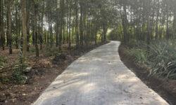 Chính chủ bán đất trồng cây lâu năm, quy hoạch khu dân cư, diện tích 4287m2 full sổ hồng, cách sân bay Long Thành 2,5Km