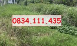 Chính chủ bán 91m2 đất thổ cư tại xã Long Định, Cần Đước, Long An; 910tr; 0834111435
