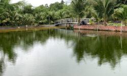 B202 -(22 tỷ) Siêu phẩm nhà vườn có suối lớn, ao lớn, vườn trái cây, thổ cư Bình Ba, Châu Đức, BRVT