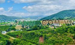Bán đất nền nghỉ dưỡng thị trấn Nam ban Lâm Hà Lâm đồng