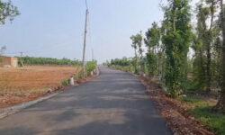 Lô đất  đỏ Bazan xã Sơn Bình, đẹp như bao diêm dt 64×46, 3.000m2