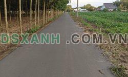 cần bán lô đất xã minh thạnh,dầu tiếng,bình dương dt;10×35+100tc giá 1ty150tr sổ hồng riêng