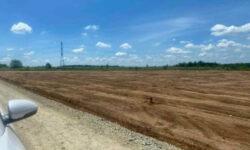 Thanh lý 1000m2 đất tài Bình Phước, đầu tư siêu hời, SHR, chỉ 985tr. Lh:0854111615