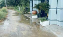 Nhà Chính Chủ , tại ấp Lộc Tiền, Xã Mỹ Lộc, Cần Giuộc, LA