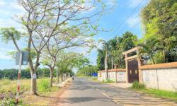 Ngộp – Ngộp cắt lỗ lô đất nằm ngay KCN Dầu Giây – Đồng Nai, 900tr/130m2, thổ cư, sổ sẵn