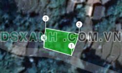 Bán đất Y Tý ( Sapa 2) giá chỉ từ 1 đến 3 triệu trên 1 m2