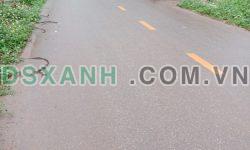 Bán đất xã Đài Xuyên ,Vân Đồn ,Quảng Ninh 487,5m2 có sổ đỏ