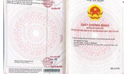 Bán 372m2 đất tặng nhà cấp 4 và dãy trọ tại Cần Giuộc, Long An SHR 7.5 tỷ. Lh:0909712041