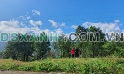 Đất nền T TÝ (SaPa 2) đầu tư biên độ lợi nhuận tăng cao