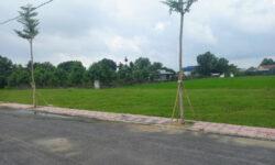 Đất full thổ cư mặt tiền đường DT823 110m2 giá chỉ 1,6 tỷ ( còn thương lượng )