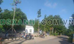 Bán đất nền