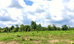 N064 – (3 tỷ) Bán đất 2 mặt tiền đường, có view suối nước chảy quanh năm tại Sông Ray, Cẩm Mỹ, ĐN