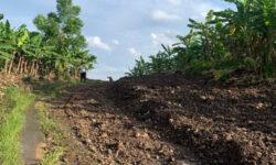 Lô đất vườn cách ql20 1.5km đường 3m đổ bê tông chỉ 900tr 1000m2 liên hệ em Hòa 0935166466