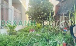 *CHÍNH CHỦ CẦN BÁN GẤP LÔ ĐẤT THÀNH PHỐ THỦ DẦU MỘT TỈNH BÌNH DƯƠNG _ LIÊN HỆ : 0933274788