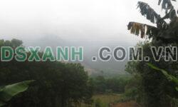 Cho thuê 8.5 ha đất trang trại (toàn bộ sổ đỏ chính chủ) vị trí ngay đường vành đai Tam Đảo, Sơn Dương, Tuyên Quang.