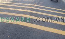 Đầu tư đất Tân Bình, Tân Uyên với 534m2 chỉ cần 1ty390 sang tên công chứng.