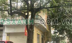 + CHÍNH CHỦ BÁN NHÀ 2 TẦNG MẶT TIỀN SỐ NHÀ 2, KHU HAI GIẾNG, P.CẨM THỦY, TP CẨM PHẢ, QUẢNG NINH – LIÊN HỆ: 0913527690-